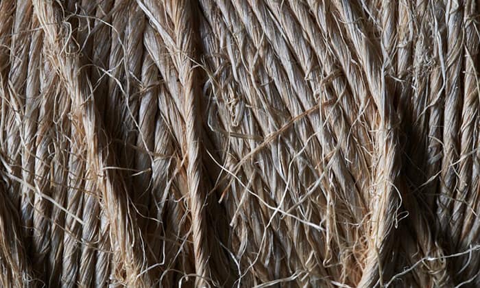 Sisal Rope vs. Sisal Fabric for Cat Scratching Posts – Is There a  Difference?